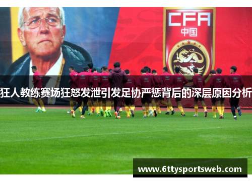 狂人教练赛场狂怒发泄引发足协严惩背后的深层原因分析