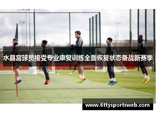 水晶宫球员接受专业康复训练全面恢复状态备战新赛季