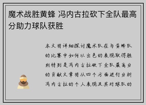 魔术战胜黄蜂 冯内古拉砍下全队最高分助力球队获胜